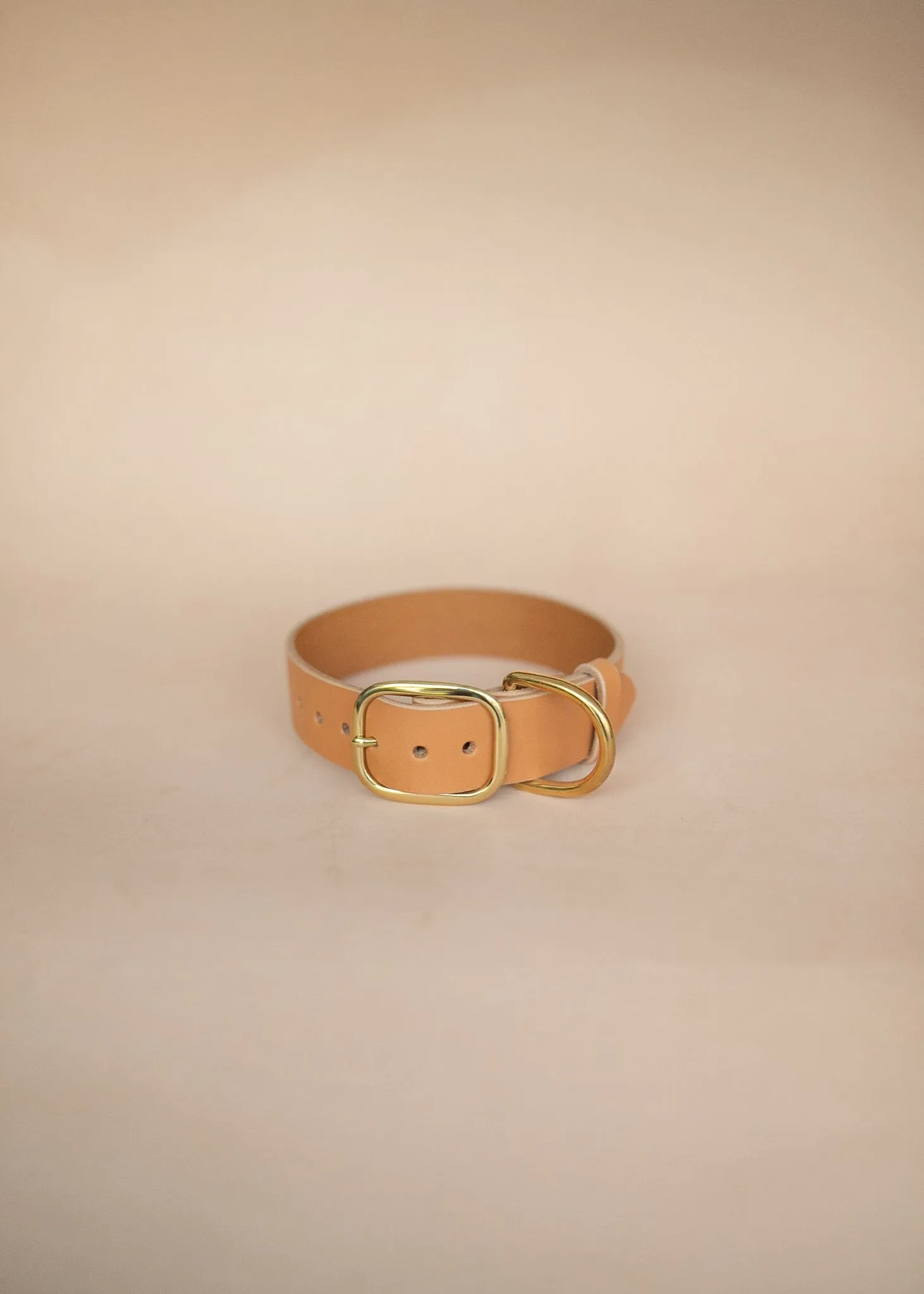 Classic Dog Collar - 38mm - Natural