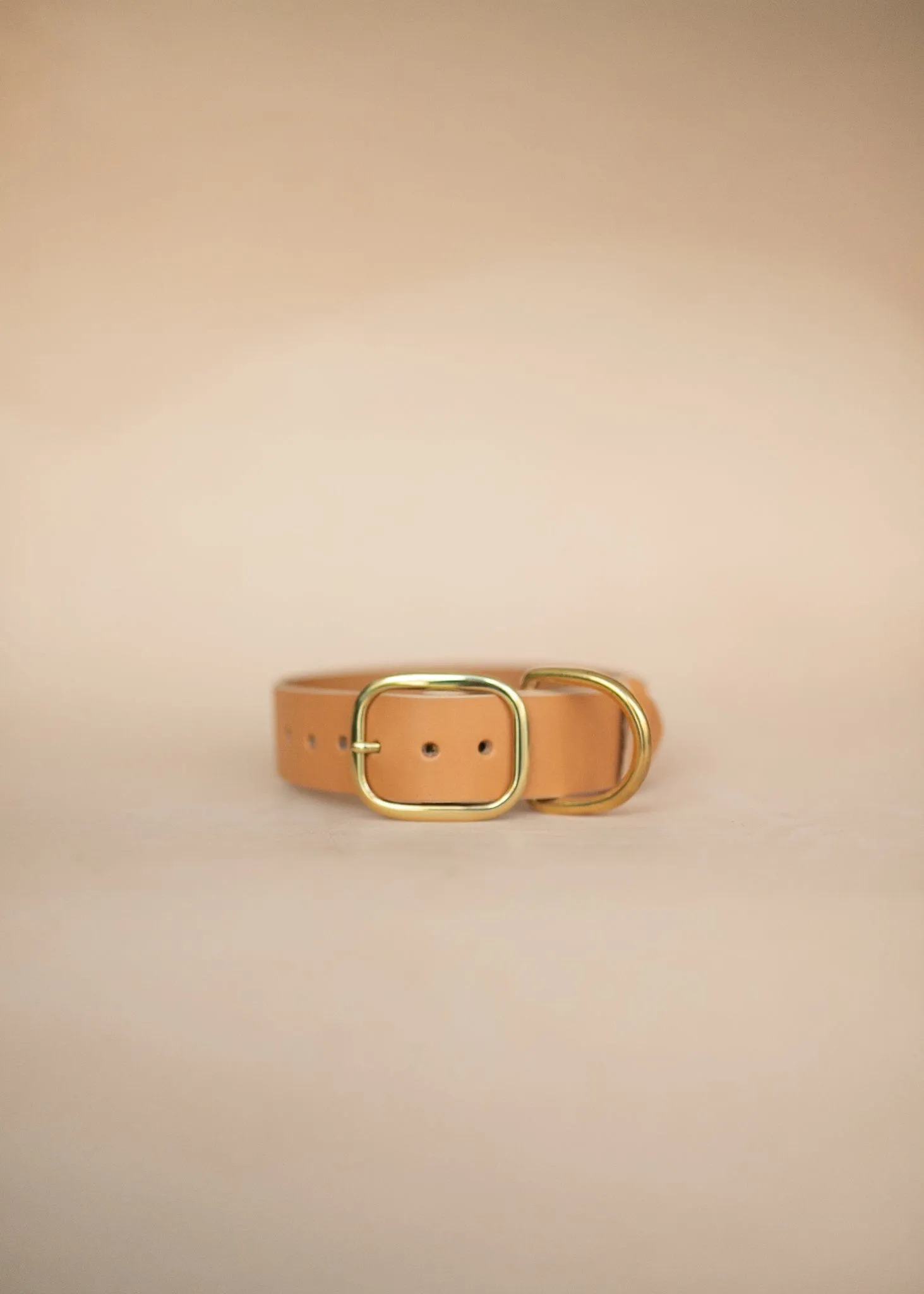 Classic Dog Collar - 38mm - Natural