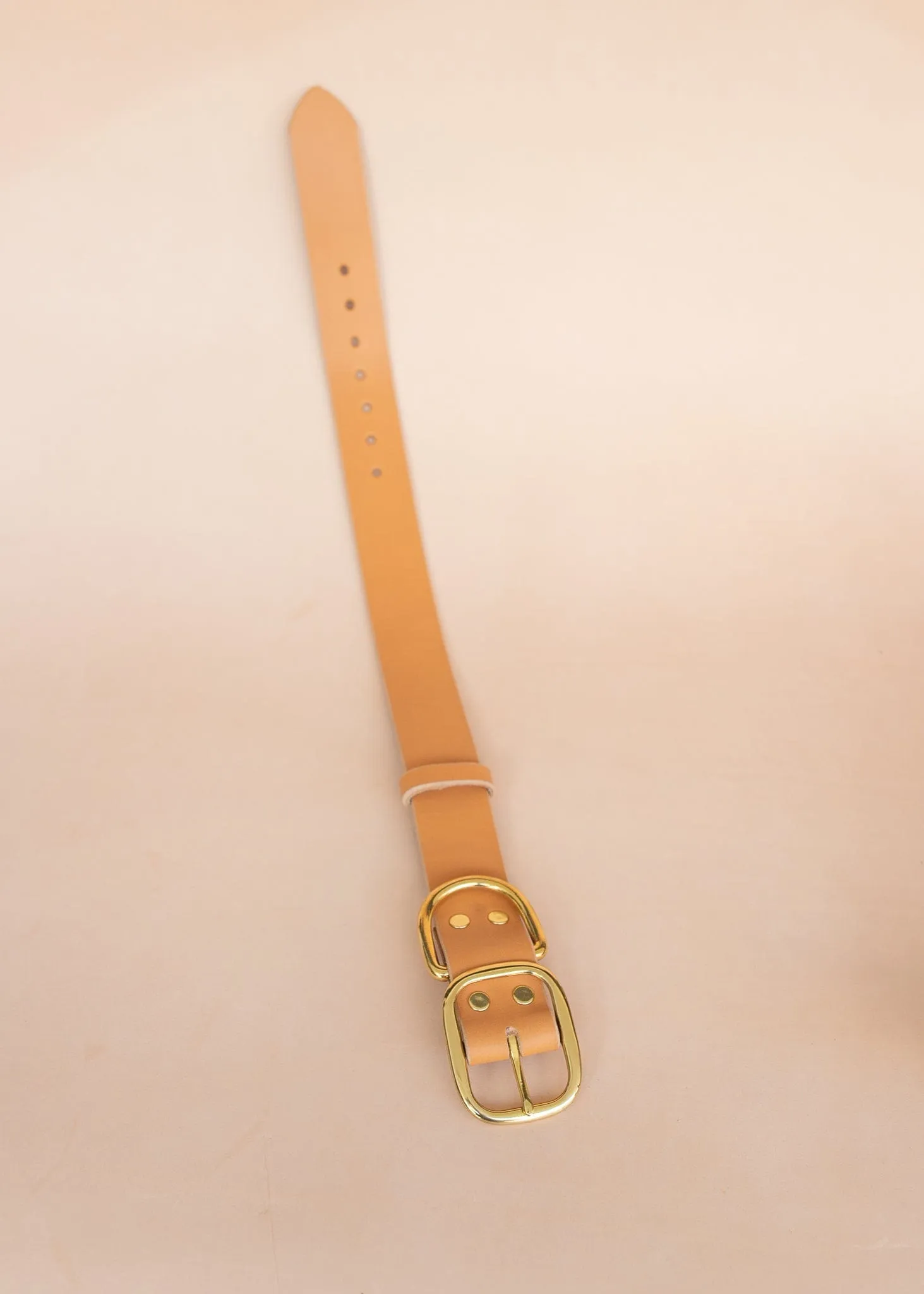 Classic Dog Collar - 38mm - Natural
