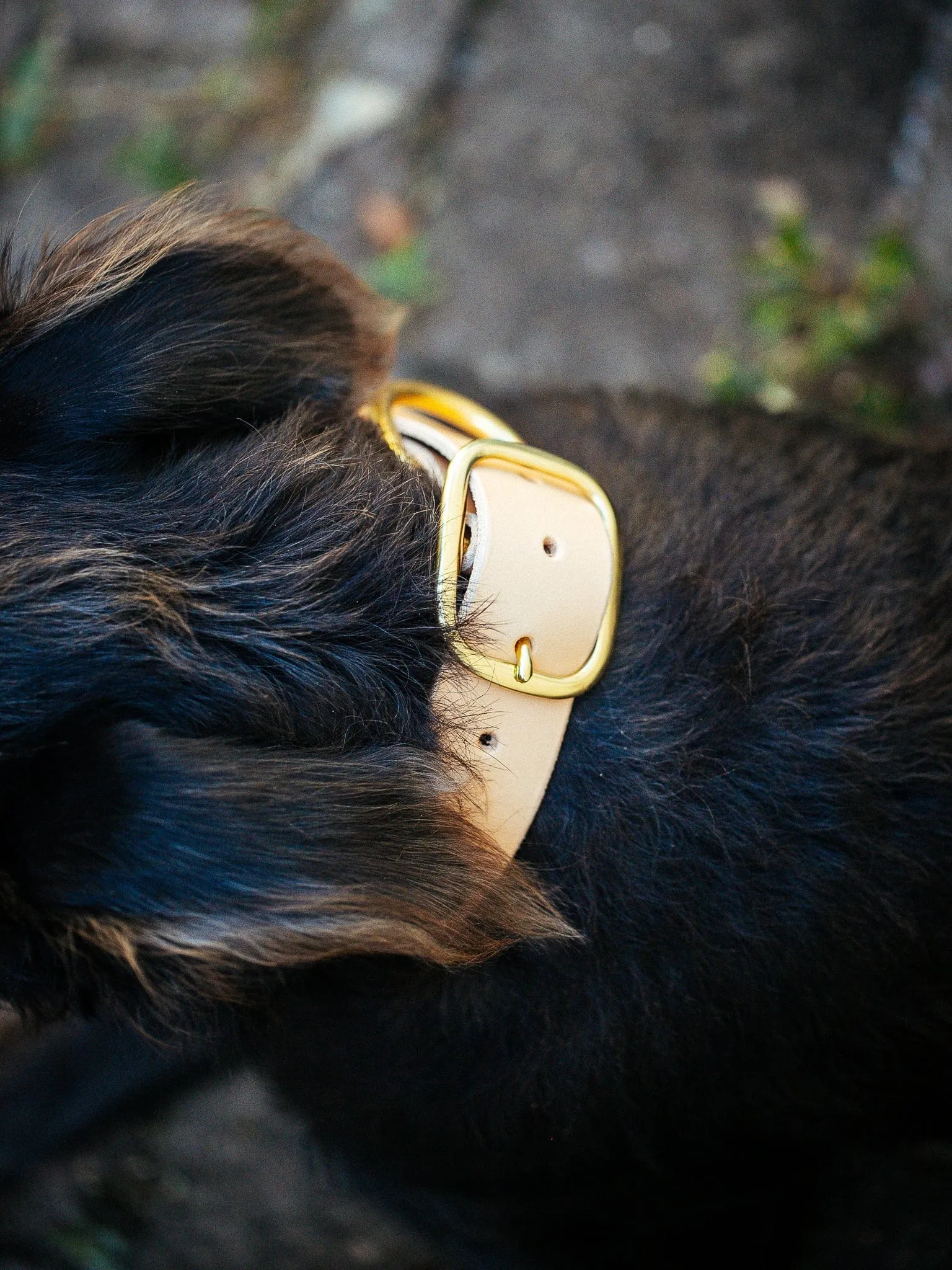 Classic Dog Collar - 38mm - Natural