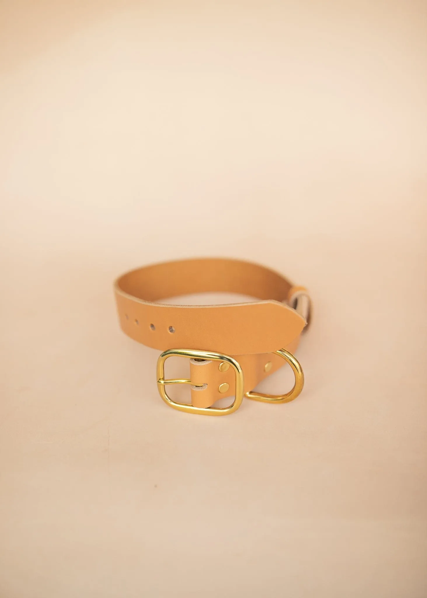 Classic Dog Collar - 38mm - Natural