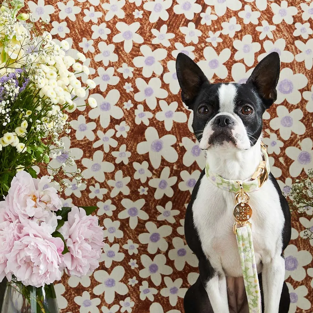 Daisy Printed Dog Collar - Pistachio - XS ONLY