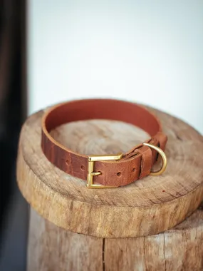 Dog Collar - Croc Print - 30mm - Vintage Brown