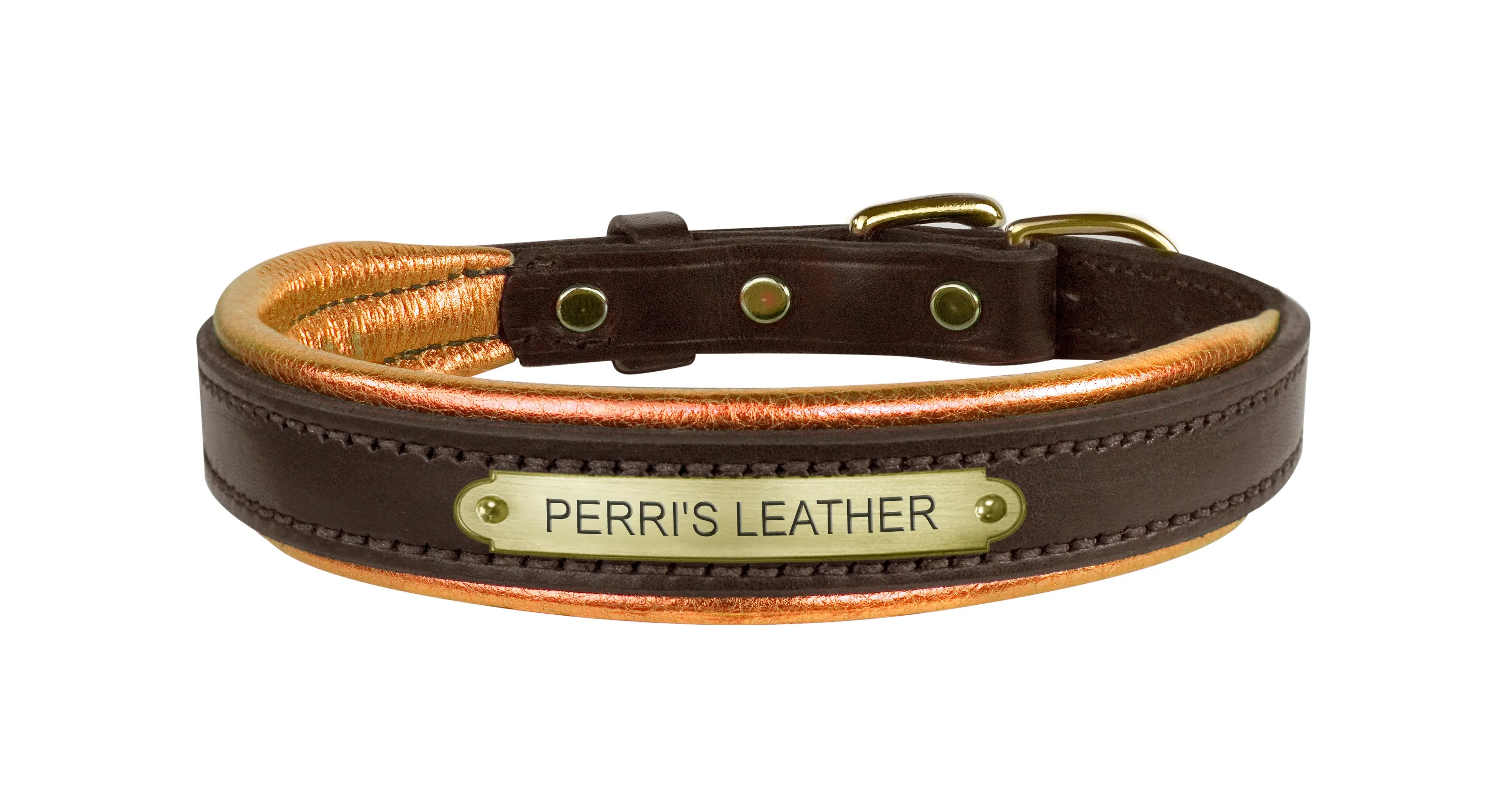 Perri's Brown Engraved Padded Leather Dog Collar- with colorful padding- USA made