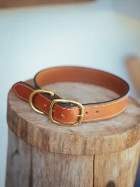 Rancher Dog Collar - 32mm - Tan