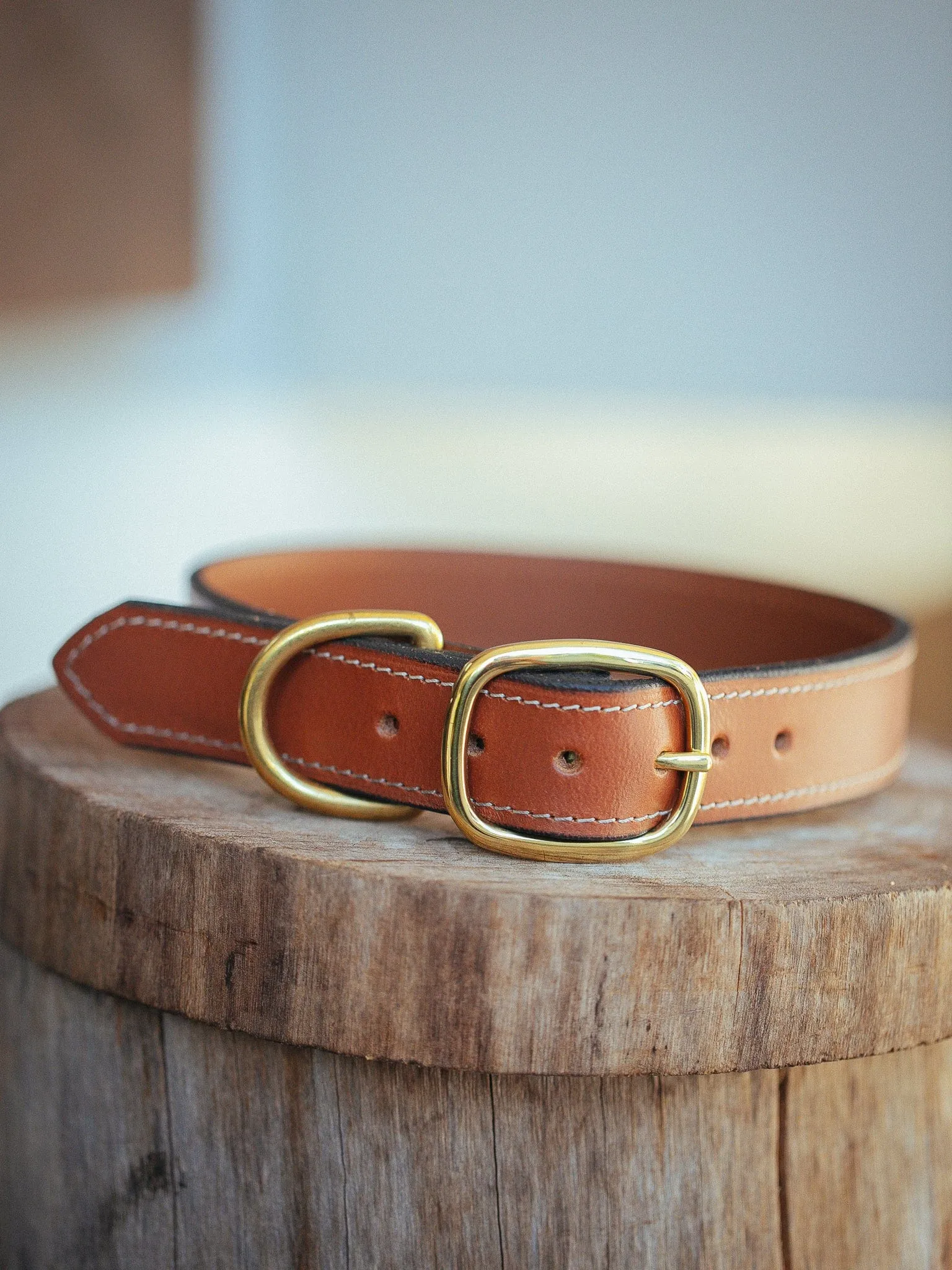 Rancher Dog Collar - 32mm - Tan